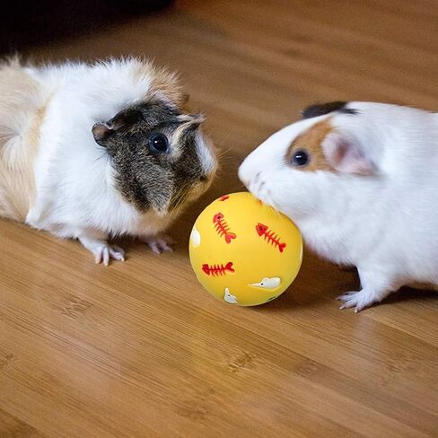 كرة توزيع الحلوى، كرة الوجبات الخفيفة للحيوانات الصغيرة، القطط والكلاب والأرنب وفئران الحيوانات الأليفة، مفيدة لأنشطة الحيوانات الأليفة والصحة (طباعة مخالب) in Kuwait