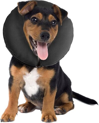 ZenPet Protective Inflatable Recovery Collar for Dogs and Cats - Soft Pet Cone Does Not Block Vision E-Collar - Designed to Prevent Pets from Touching Stitches, Wounds and Rashes (Medium) in Saudi Arabia
