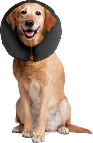 ZenPet Protective Inflatable Recovery Collar for Dogs and Cats - Soft Pet Cone Does Not Block Vision E-Collar - Designed to Prevent Pets from Touching Stitches, Wounds and Rashes (Medium) in Saudi Arabia