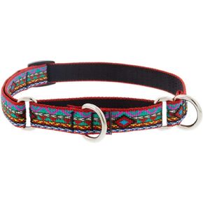 Martingale Small Dog Collar by Lupine 3/4" wide El Paso design adjusts 10" to 14"