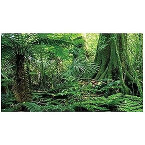 Aquarium Background Sticker Rainforest Pattern PVC Self Adhesive for Reptile Box Fish Tank Wall Decoration