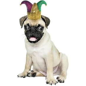 Jester Hat Pet Headwear - XS-Small (1 Count) - Whimsical & Comfy Costume Accessory for Dogs/Cats