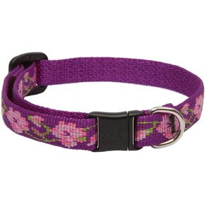 LupinePet Originals 1/2" Rose Garden Cat Safety Collar, 8-12"