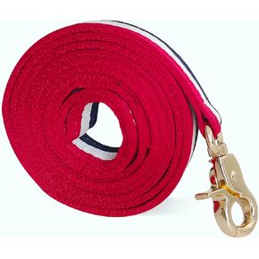 Premium Dog Leash with Luxury Style, Soft Durable Dog Leashes, Walking Training Leash for Small Medium Large Dogs