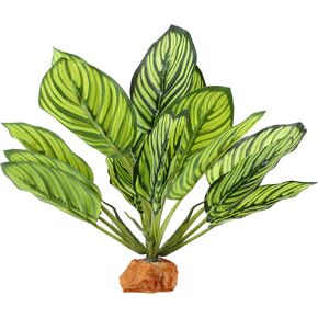 ديكور نباتات الزواحف، نباتات الزواحف لديكور تررم، نبات الزواحف الاصطناعي، ديكور موائل البرمائيات مناسب للزواحف السحالي، 8.66 بوصة × 2.13 بوصة × 10.63 بوصة، أخضر