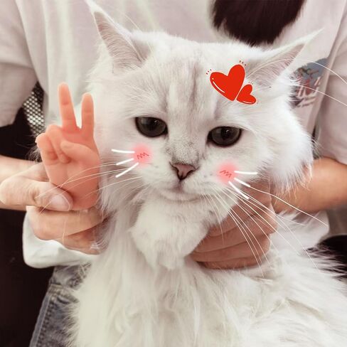 6 Pack Mini Hands for Cats,Tiny Hands for Cats Crossed,Tiny Folded Hands for Cat Paws,Cat Interactive Toy,Playful Cat Accessories for Mimicking Human Gestures in Kuwait