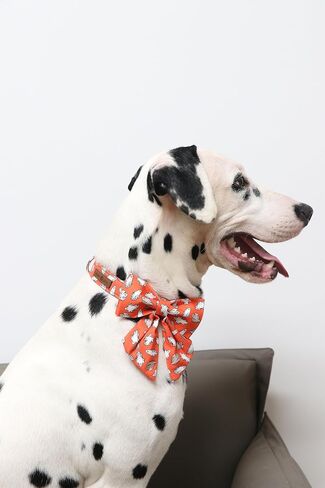 Lionet Paws Halloween Dog Collar with Bowtie, Bowtie for Dogs and Cats, Adjustable Comfortable Dog Collar Pumpkin Girl Boy, XL, Neck 16-26 in in Saudi Arabia