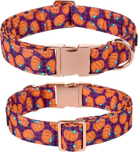 Lionet Paws Halloween Dog Collar with Bowtie, Bowtie for Dogs and Cats, Adjustable Comfortable Dog Collar Pumpkin Girl Boy, XL, Neck 16-26 in in Saudi Arabia