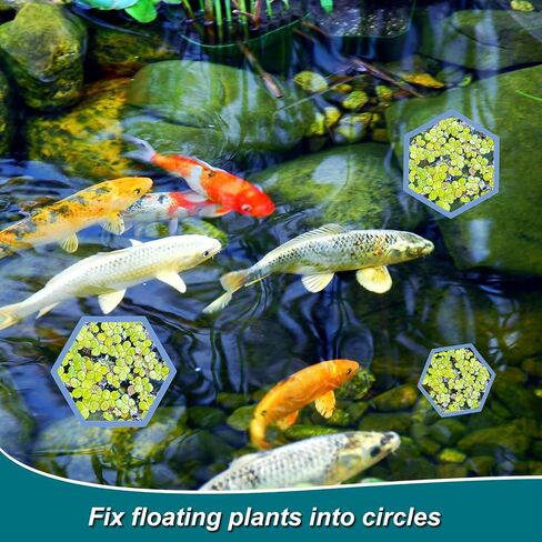 5pcs Aquarium Floating Plant Rings, Foam Floating Plant Corral Holder Hexagon Fish Feeding Rings Feeding Ring Barrier for Fish Tank Feeder Plant Fence for Keeping Food in Place (Blue) in Saudi Arabia