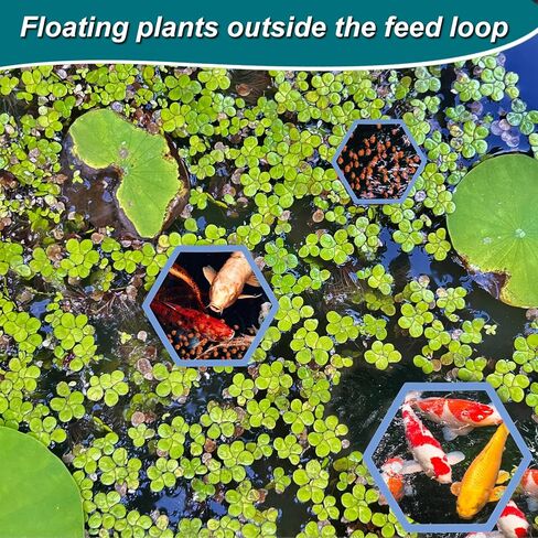 5pcs Aquarium Floating Plant Rings, Foam Floating Plant Corral Holder Hexagon Fish Feeding Rings Feeding Ring Barrier for Fish Tank Feeder Plant Fence for Keeping Food in Place (Blue) in Saudi Arabia