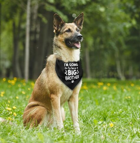 Dog Bandana, I Am Going to Be A Big Brother Dog Bandana, Dog Scarf Black Printing, Dog Scarf Accessories, Dog Bandana Pet Scarf, Pet Black Scarf Gender Reveal Accessories, Dog Bandana Gift (D28) in Saudi Arabia