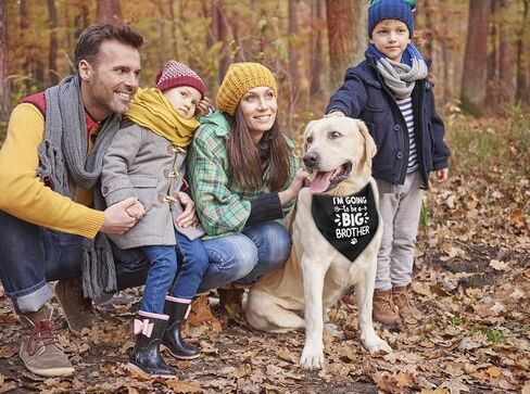 Dog Bandana, I Am Going to Be A Big Brother Dog Bandana, Dog Scarf Black Printing, Dog Scarf Accessories, Dog Bandana Pet Scarf, Pet Black Scarf Gender Reveal Accessories, Dog Bandana Gift (D28) in Saudi Arabia