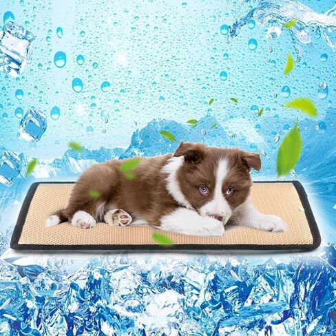 بساط تبريد للكلاب في الصيف، بساط كبير جدًا لقفص الكلاب للكلاب الكبيرة قابل للغسل، بطانية تبريد للحيوانات الأليفة قابلة للتنفس وذات قدرة على الامتصاص، سجادات سرير ناعمة ومرنة للكلاب والقطط والأرانب (XS (20.8 بوصة × 11.8 بوصة)) in Kuwait