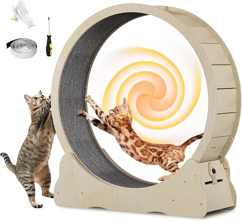 Homegroove Cat Exercise Wheel for Indoor Cats, 35.4 Inch in Saudi Arabia