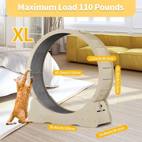 Homegroove Cat Exercise Wheel for Indoor Cats, 35.4 Inch in Saudi Arabia