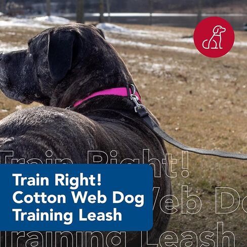 Coastal Pet Train Right Cotton Web Dog Training Leash - 100% Cotton Dog Leash for Training - Durable Dog Walking Leash - Leash for Puppies & Dogs - Quality Dog Supplies - Red, 5/8" x 30' in Saudi Arabia