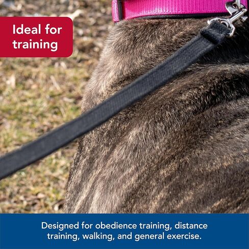 Coastal Pet Train Right Cotton Web Dog Training Leash - 100% Cotton Dog Leash for Training - Durable Dog Walking Leash - Leash for Puppies & Dogs - Quality Dog Supplies - Red, 5/8" x 30' in Saudi Arabia