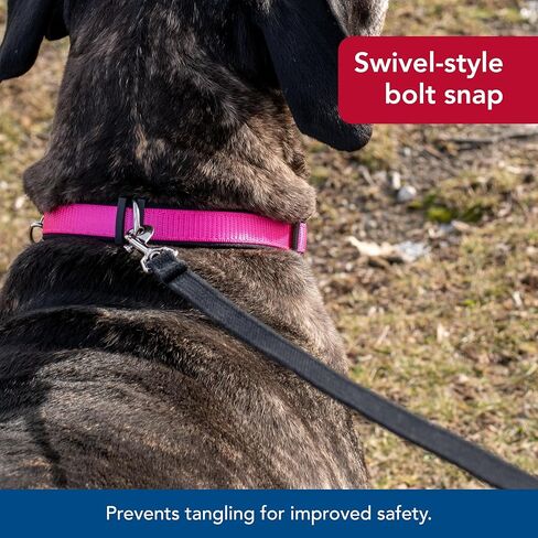 Coastal Pet Train Right Cotton Web Dog Training Leash - 100% Cotton Dog Leash for Training - Durable Dog Walking Leash - Leash for Puppies & Dogs - Quality Dog Supplies - Red, 5/8" x 30' in Saudi Arabia