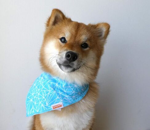 عصابات/مرايل للكلاب من Kawaii Shiba Inu - عبوة مكونة من أربع قطع من وشاح الكلاب in Saudi Arabia