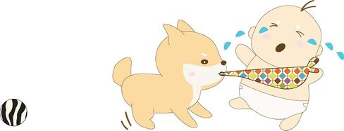 عصابات/مرايل للكلاب من Kawaii Shiba Inu - عبوة مكونة من أربع قطع من وشاح الكلاب in Saudi Arabia