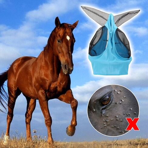 10 قطع من لوازم الحصان، 8 قطع من أحذية الطيران الشبكية و2 قطعة من أقنعة الذبابة مع مجموعة الأذنين، أقنعة الذبابة مع الأذنين ناعمة، واقية من طماق الحصان الشبكية المسامية لمنع لدغات الذباب المؤلمة in Kuwait