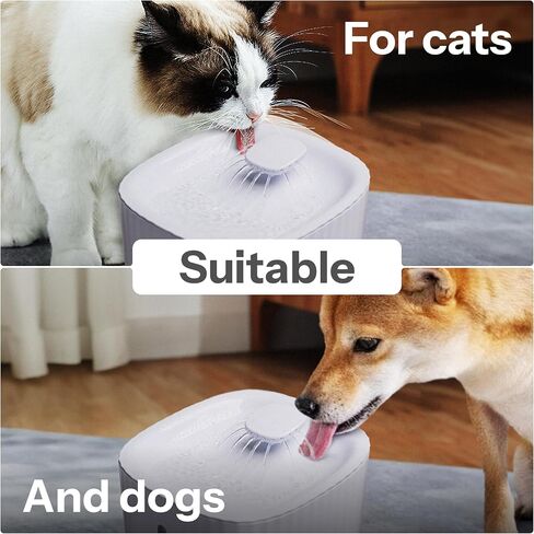 Ultra-quiet Automatic Cat Water Fountain, 101oz/3l Pet Water Fountain, Wired Water Fountains for Cats Indoor, Dog Water Fountain, Automatic Water Dispenser for Dogs, 2 Modes, Filter Capsule (White) in Saudi Arabia
