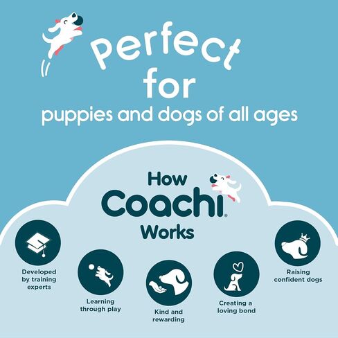 Coachi Pro Train & Treat Bag, Pouch. Dog Trainers and Professional Walkers, Extra Large Storage, Secure Attachment Options, Zipped Pocket, Magnetic Closure. Suitable for Dog Walking & Training in Kuwait