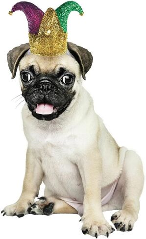 Jester Hat Pet Headwear - XS-Small (1 Count) - Whimsical & Comfy Costume Accessory for Dogs/Cats in Saudi Arabia