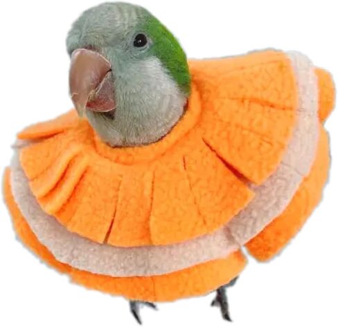 Bird Collar Anti Bite Elizabethan Recovery Cone, Bird Neck Protector for Feather Plucking, Bird Neckwear Full Body Shield for Parakeet Color Randomly (Cockatoo) in Saudi Arabia