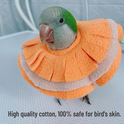 Bird Collar Anti Bite Elizabethan Recovery Cone, Bird Neck Protector for Feather Plucking, Bird Neckwear Full Body Shield for Parakeet Color Randomly (Cockatoo) in Saudi Arabia