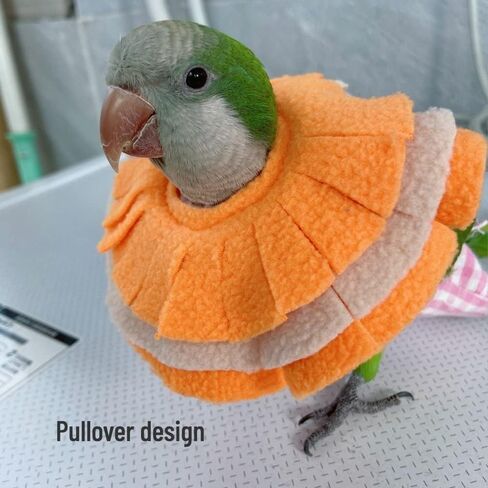 Bird Collar Anti Bite Elizabethan Recovery Cone, Bird Neck Protector for Feather Plucking, Bird Neckwear Full Body Shield for Parakeet Color Randomly (Cockatoo) in Saudi Arabia