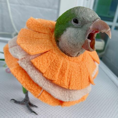 Bird Collar Anti Bite Elizabethan Recovery Cone, Bird Neck Protector for Feather Plucking, Bird Neckwear Full Body Shield for Parakeet Color Randomly (Cockatoo) in Saudi Arabia