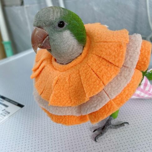 Bird Collar Anti Bite Elizabethan Recovery Cone, Bird Neck Protector for Feather Plucking, Bird Neckwear Full Body Shield for Parakeet Color Randomly (Cockatoo) in Saudi Arabia