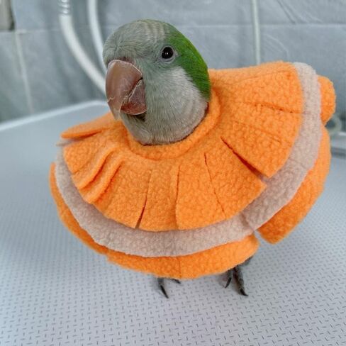 Bird Collar Anti Bite Elizabethan Recovery Cone, Bird Neck Protector for Feather Plucking, Bird Neckwear Full Body Shield for Parakeet Color Randomly (Cockatoo) in Saudi Arabia