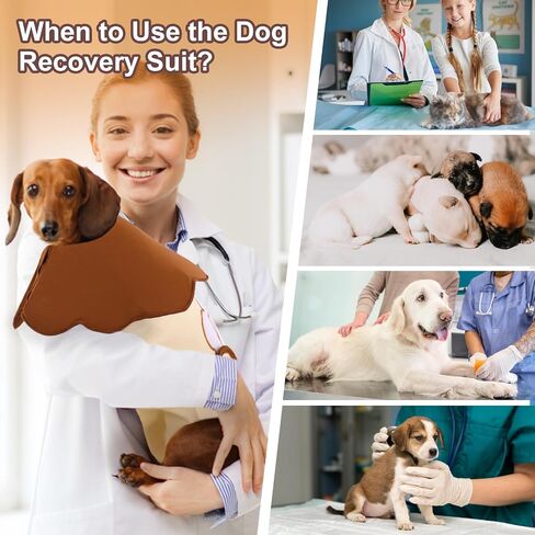 SAWMONG Dog Surgery Recovery Suit with Foldable Cone, Stretch & Cotton Dog Spay Surgical Suit for Female Dogs, After Surgery Dog Onesie with Adjustable Rear Flap, XL in Saudi Arabia