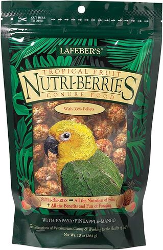 LAFEBER'S Tropical Fruit Nutri-Berries Conure Food, Made with Non-GMO and Human-Grade Ingredients, for Conures (Tropical Fruit 10 oz Pack of 2) in Saudi Arabia