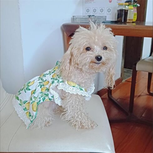 Lenom Pattern Green Dog/Cat Dress Pet Clothes Cute Dog Vest Lovely Flowers Pattern Dog Dress Breathable Pet T-Shirt Puppy Clothes Shirt for Dog (Small 3-5 Ib) in Kuwait