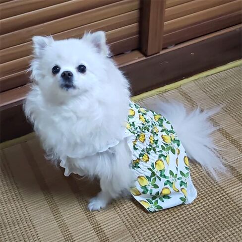 Lenom Pattern Green Dog/Cat Dress Pet Clothes Cute Dog Vest Lovely Flowers Pattern Dog Dress Breathable Pet T-Shirt Puppy Clothes Shirt for Dog (Small 3-5 Ib) in Kuwait