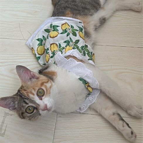 Lenom Pattern Green Dog/Cat Dress Pet Clothes Cute Dog Vest Lovely Flowers Pattern Dog Dress Breathable Pet T-Shirt Puppy Clothes Shirt for Dog (Small 3-5 Ib) in Kuwait