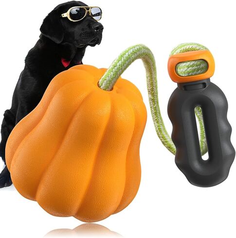 iFur Dog Pumpkin Fetch Toy, Interactive Tug of War Dog Toy, Boredom and Stimulating Chew Toys for Dogs, Tough Indoor/Outdoor Rope Enrichment Toy for Small Medium Large Breed (Fetch) in Saudi Arabia