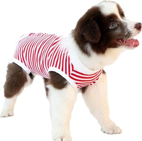 Recovery Suit for Dogs - Onesie for Small Medium dogs Recovery Suit for Female Male,Substitute E-Collar & Cone in Saudi Arabia
