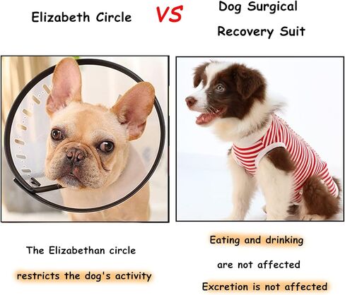 Recovery Suit for Dogs - Onesie for Small Medium dogs Recovery Suit for Female Male,Substitute E-Collar & Cone in Saudi Arabia