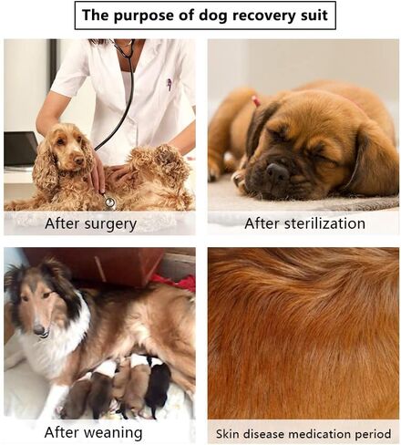 Recovery Suit for Dogs - Onesie for Small Medium dogs Recovery Suit for Female Male,Substitute E-Collar & Cone in Saudi Arabia