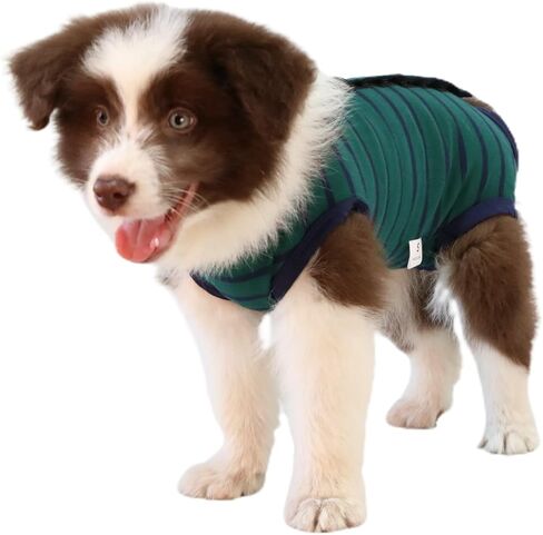 Recovery Suit for Dogs - Onesie for Small Medium dogs Recovery Suit for Female Male,Substitute E-Collar & Cone in Saudi Arabia