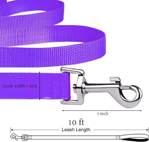 مقود تدريب للكلاب بطول 10 أقدام، للكلاب الكبيرة والمتوسطة والصغيرة، مقود طويل للكلاب، للتدريب أو الفناء الخلفي أو التخييم أو اللعب، رائع للحدائق والجلب (10 أقدام، أرجواني) in Kuwait