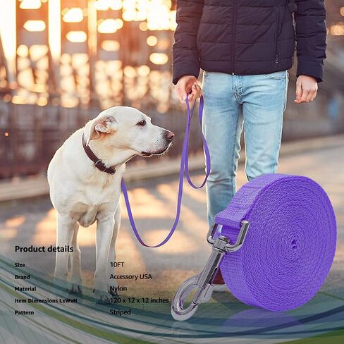 مقود تدريب للكلاب بطول 10 أقدام، للكلاب الكبيرة والمتوسطة والصغيرة، مقود طويل للكلاب، للتدريب أو الفناء الخلفي أو التخييم أو اللعب، رائع للحدائق والجلب (10 أقدام، أرجواني) in Kuwait