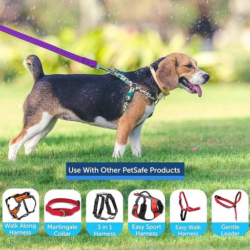 مقود تدريب للكلاب بطول 10 أقدام، للكلاب الكبيرة والمتوسطة والصغيرة، مقود طويل للكلاب، للتدريب أو الفناء الخلفي أو التخييم أو اللعب، رائع للحدائق والجلب (10 أقدام، أرجواني) in Kuwait