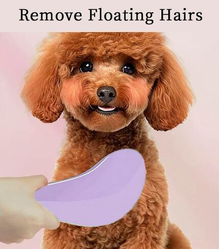 Small Dog Brush - Puppy Hair Brush- Grooming Tool for Teddy, Yorkies, Maltese, Shih Tzu, Chihuahua (Purple, All) in Saudi Arabia