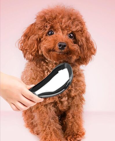 Small Dog Brush - Puppy Hair Brush- Grooming Tool for Teddy, Yorkies, Maltese, Shih Tzu, Chihuahua (Purple, All) in Saudi Arabia