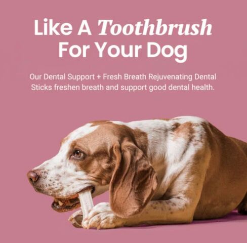 Mint Flavored Dental Chew Sticks, Keep your pup's Teeth Looking Clean and Smelling Fresh, Intended As A Treat (Mint) in Saudi Arabia